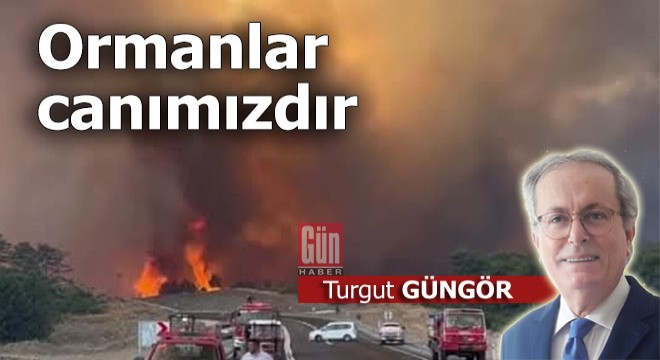 Ormanlar canımızdır