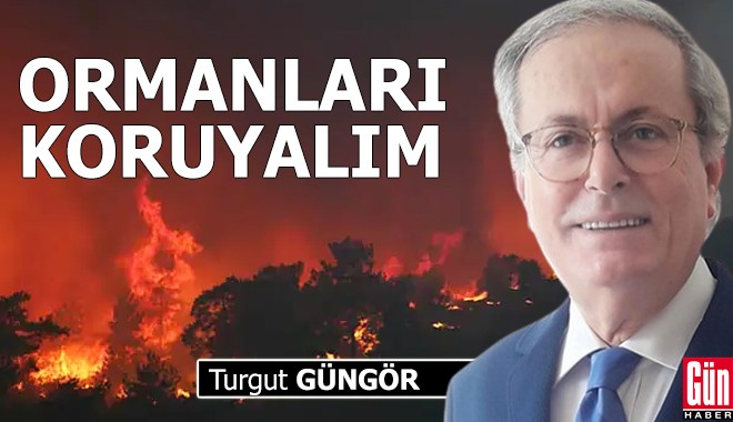 Ormanları koruyalım