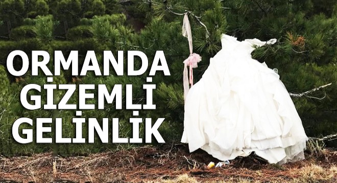 Ormanlık alanda gizemli gelinlik