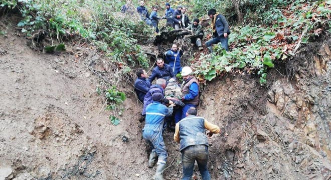 Ormanlık alana yuvarlanan traktörün sürücüsü öldü