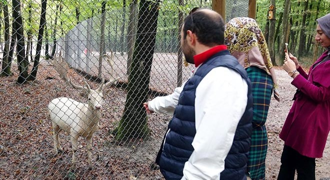 Ormanya'da doğa ile baş başa
