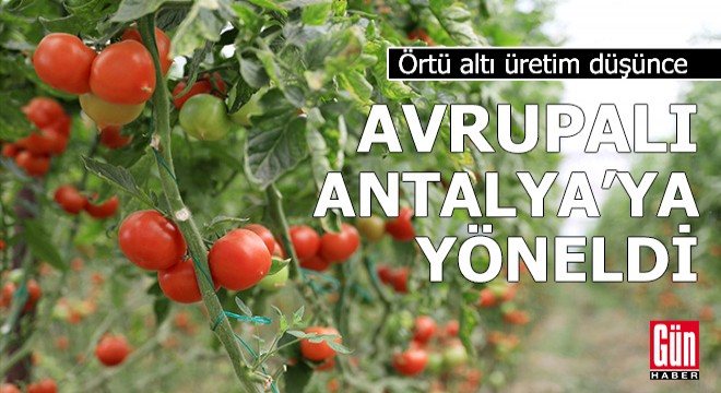 Örtü altı üretim düşünce Avrupalı Antalya'ya yöneldi
