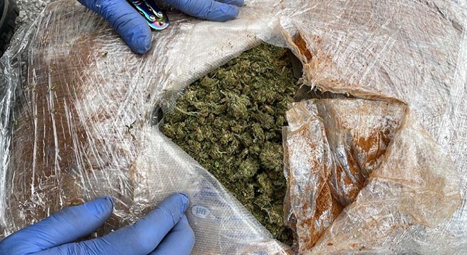 Osmaniye'de, TIR'da 31 kilo skunk ele geçirildi
