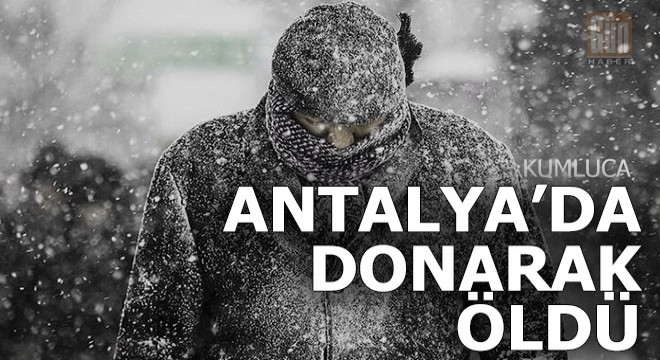 Ot toplamaya gitti donarak öldü