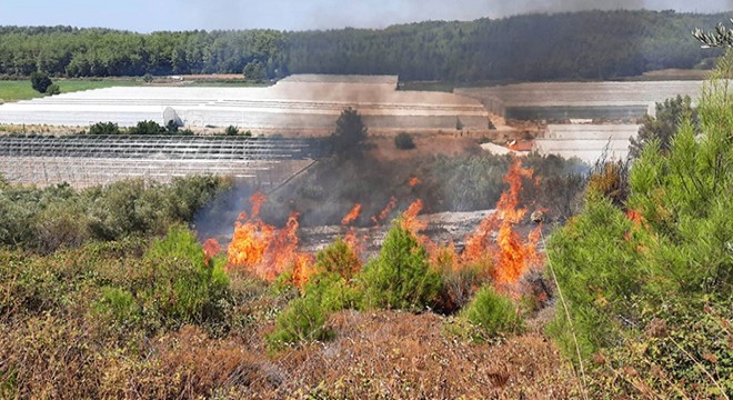 Ot yangını, jandarma ve orman ekipleri tarafından söndürüldü