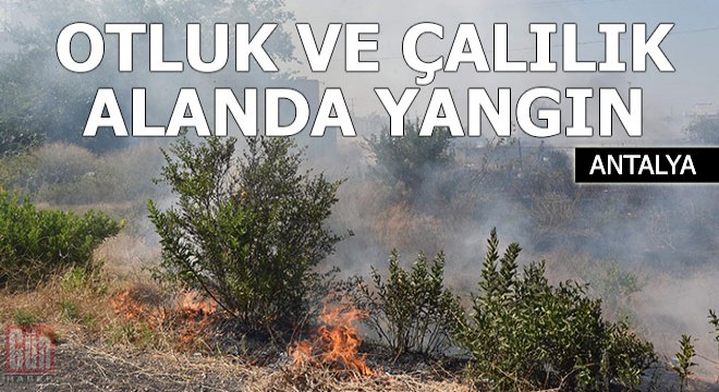 Otluk ve çalılık alanda yangın