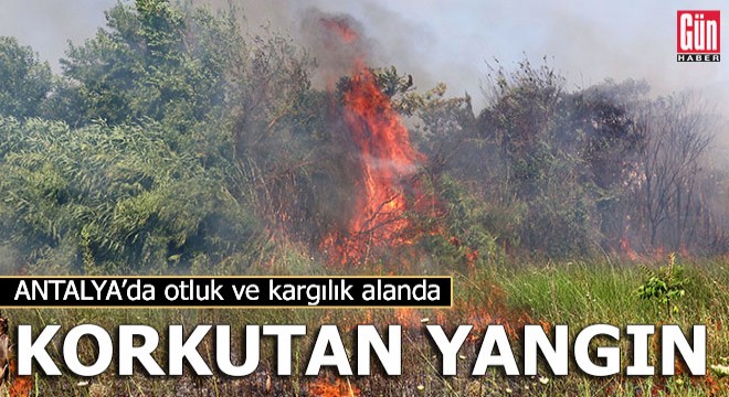 Otluk ve kargılık alanda korkutan yangın