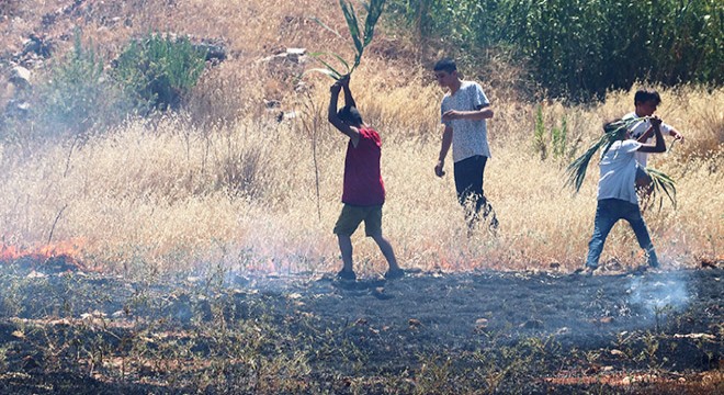 Otluk alandaki yangın, itfaiye ve mahalleli tarafından söndürüldü