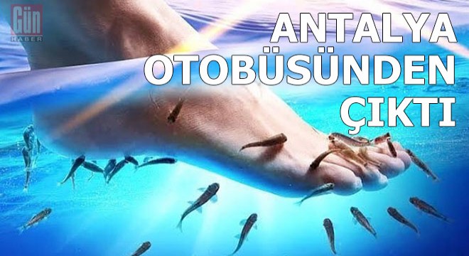 Otobüs bagajında canlı canlı ele geçirildi