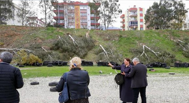 Otobüs garajı için okaliptüs ağaçlarının kesilmesine tepki