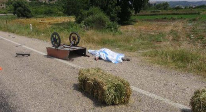 Otomobil, el arabasıyla ot taşıyanlara çarptı: 1 ölü, 1 yaralı