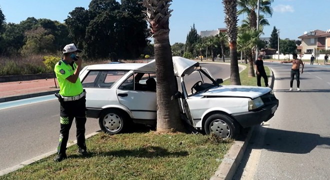 Otomobil refüjdeki palmiyeye çarptı