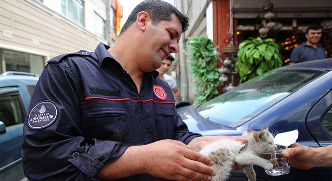Otomobilin şaftına sıkışan yavru kediyi itfaiye kurtardı
