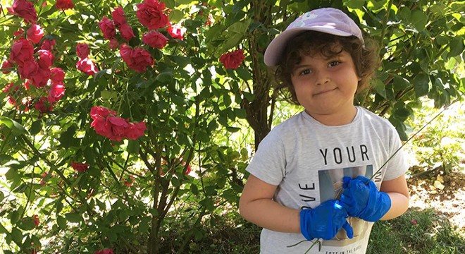 Öykü Arin bir daha ilik savaşı verirse, fotoferez tedavisi uygulanacak