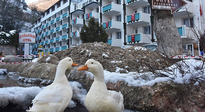 Oylat Kaplıcaları'nda sömestir yoğunluğu