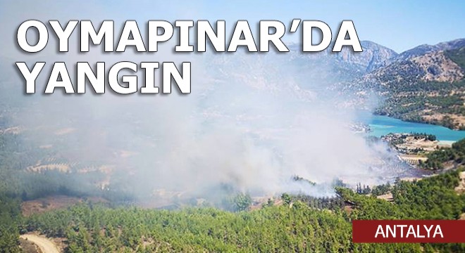 Oymapınar da yangın