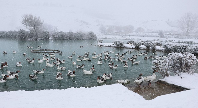 Pamukkale karla kaplandı