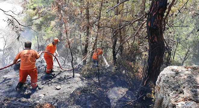 Panodan başlayan yangın ormana sıçradı