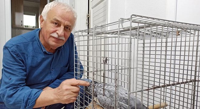 Papağan 'Paşa', besmele çekip, Fatiha okuyor