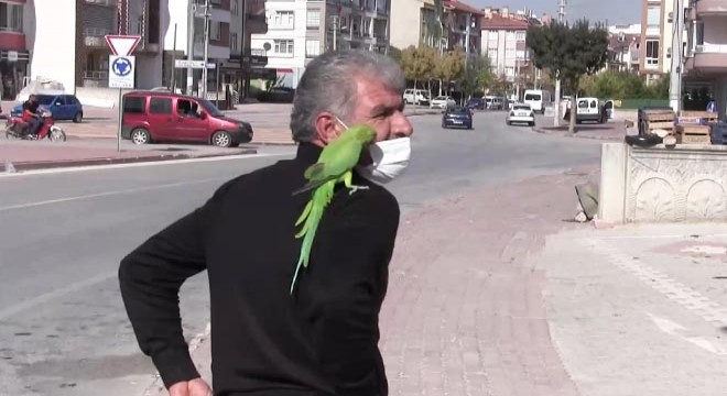 Papağanıyla sokaklarda geziyor