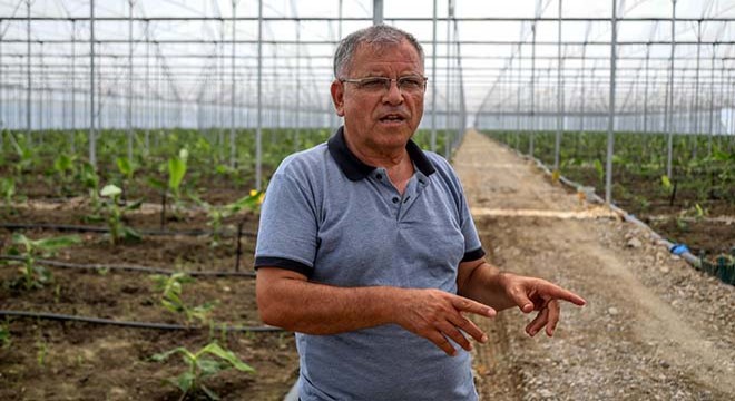 Tarım arazileri muz serasına dönüşüyor
