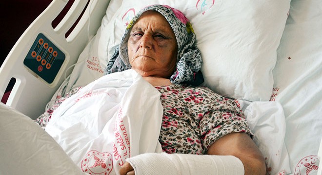 Para vermeyen anne ve babasını hastanelik etti