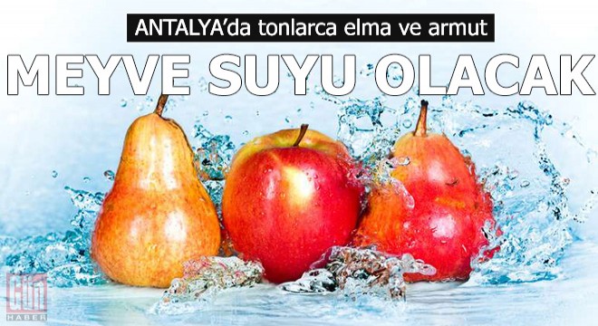 Para etmeyen tonlarca elma ve armut, meyve suyu olacak