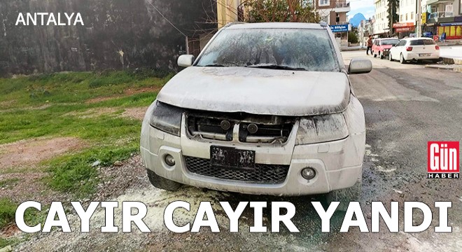 Park halindeki cip, cayır cayır yandı