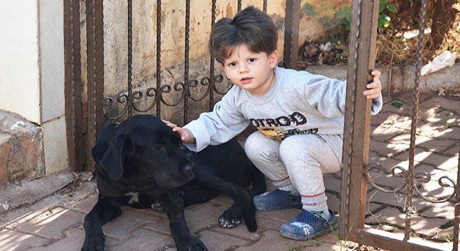 Parmaklığa sıkışan köpek kurtarılınca Yağız sevinçten zıpladı