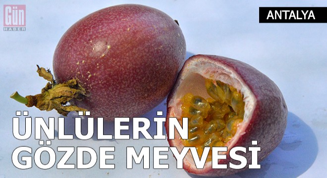 Passiflora, ünlülerin gözde meyvesi oldu