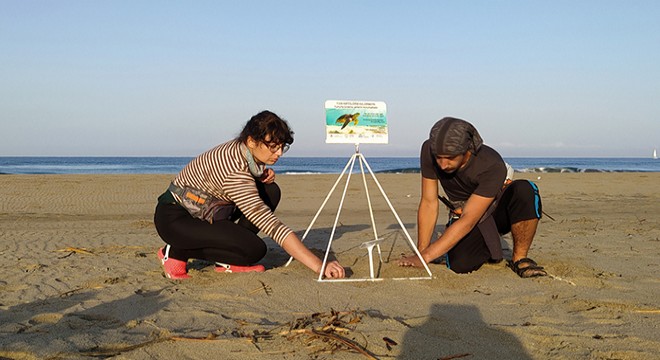 Patara'da 116 caretta caretta yuvası tespit edildi