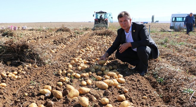 Patates üreticisi tanzim satışı istiyor