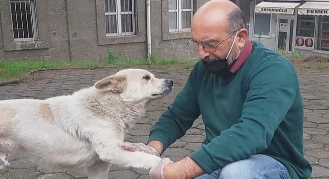 Patisini tedavi ettiği köpekle arasındaki bağ, duygulandırdı