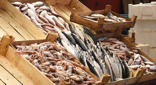 Pazaryerlerindeki balık tezgahları için 'sağlıksız' uyarısı