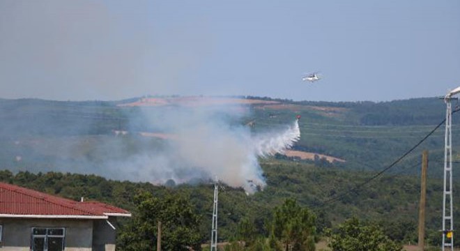 Pendik te orman yangını