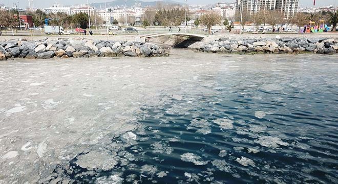 Pendik ve Kartal sahilindeki  kirliliğin  sırrı çözüldü