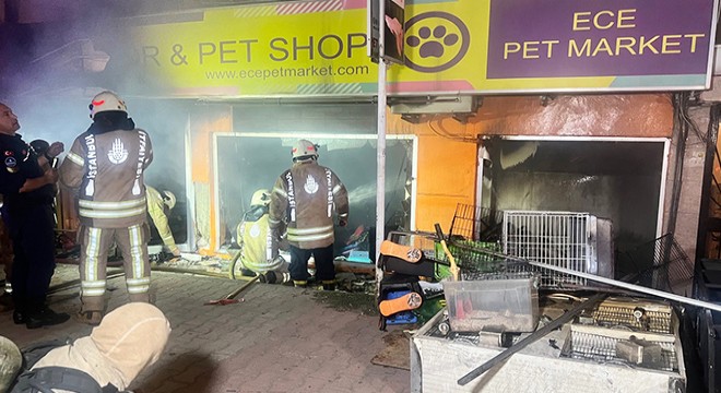 Petshopta yangın çıktı