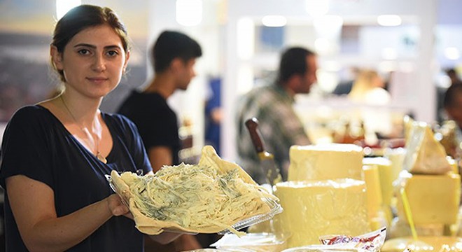 Peynir yapımı için online atölye