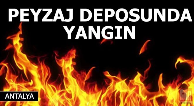 Peyzaj deposunda yangın