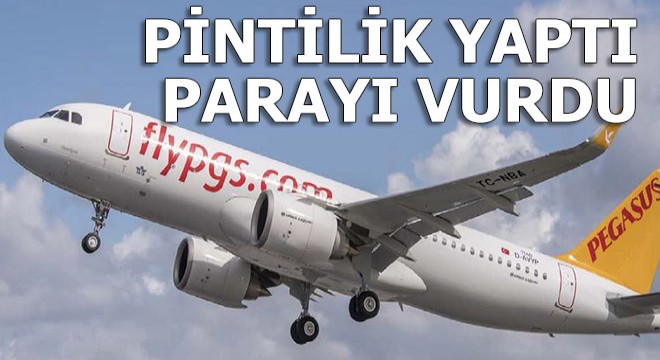 Pinti Pegasus paraya para demedi