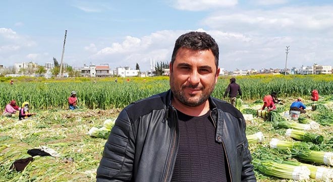 Pırasa üretiminde 'sosyal mesafe' ayarı