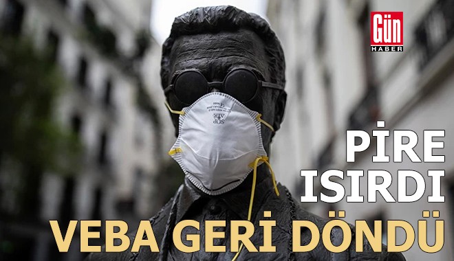 Pire ısırdı: Veba geri döndü