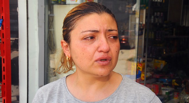 Pitbull'un önüne attıkları 'Çıtır' kediyi parçalattılar