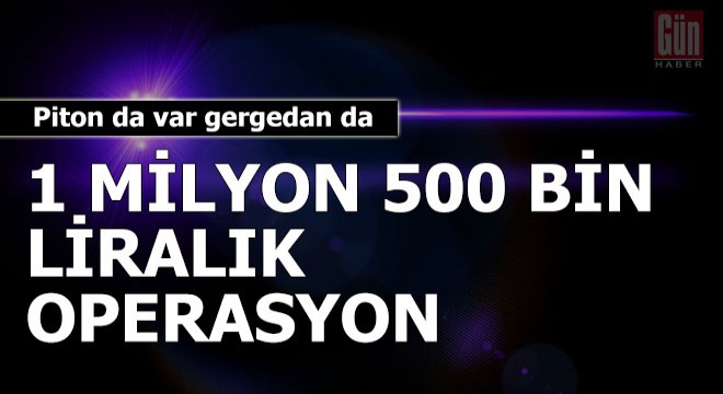 Piton da var gergedan da... 1 milyon 500 bin liralık operasyon