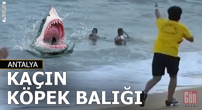 Plajda 'köpek balığı' şakası...