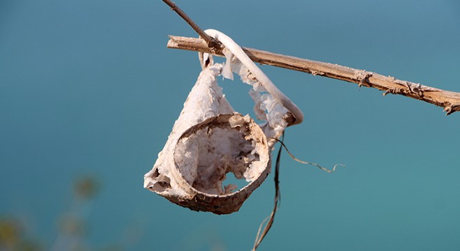 Plastik kirliliğine karşı 'Plastiksiz Doğu Akdeniz Platformu' kuruldu