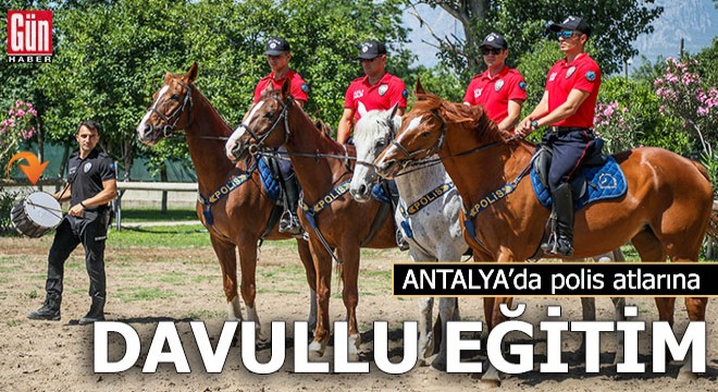 Polis atlarına teneke ve davullu eğitim