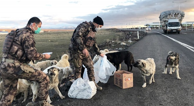 Polisler, yiyeceklerinden sokak köpeklerine verdi