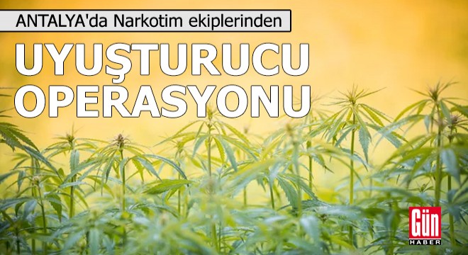 Polisten uyuşturucu operasyonu