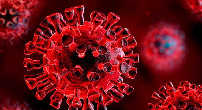 Polonya’da 9 bin 622 yeni koronavirüs vakası